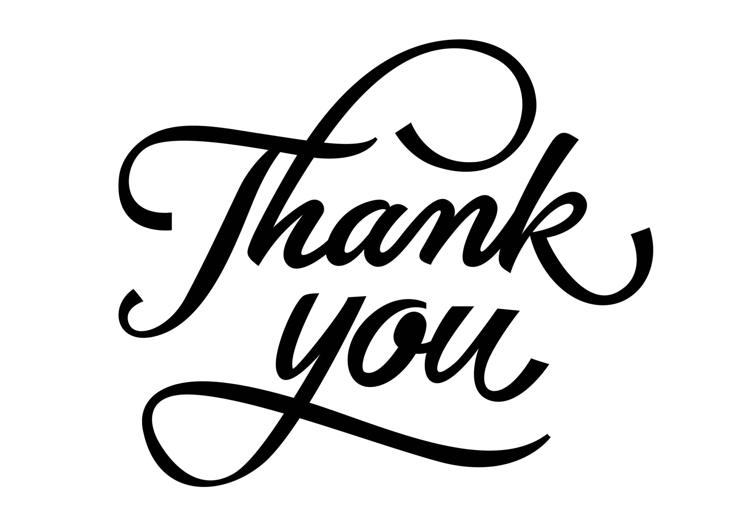 Thank You lettering. Handwritten and typed text, calligraphy. For greeting cards, posters, leaflets and brochure.